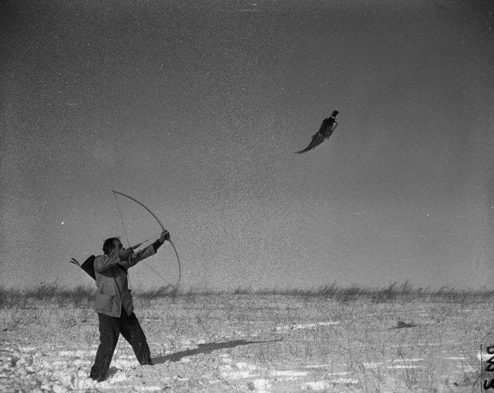 bird hunt bow and arrow