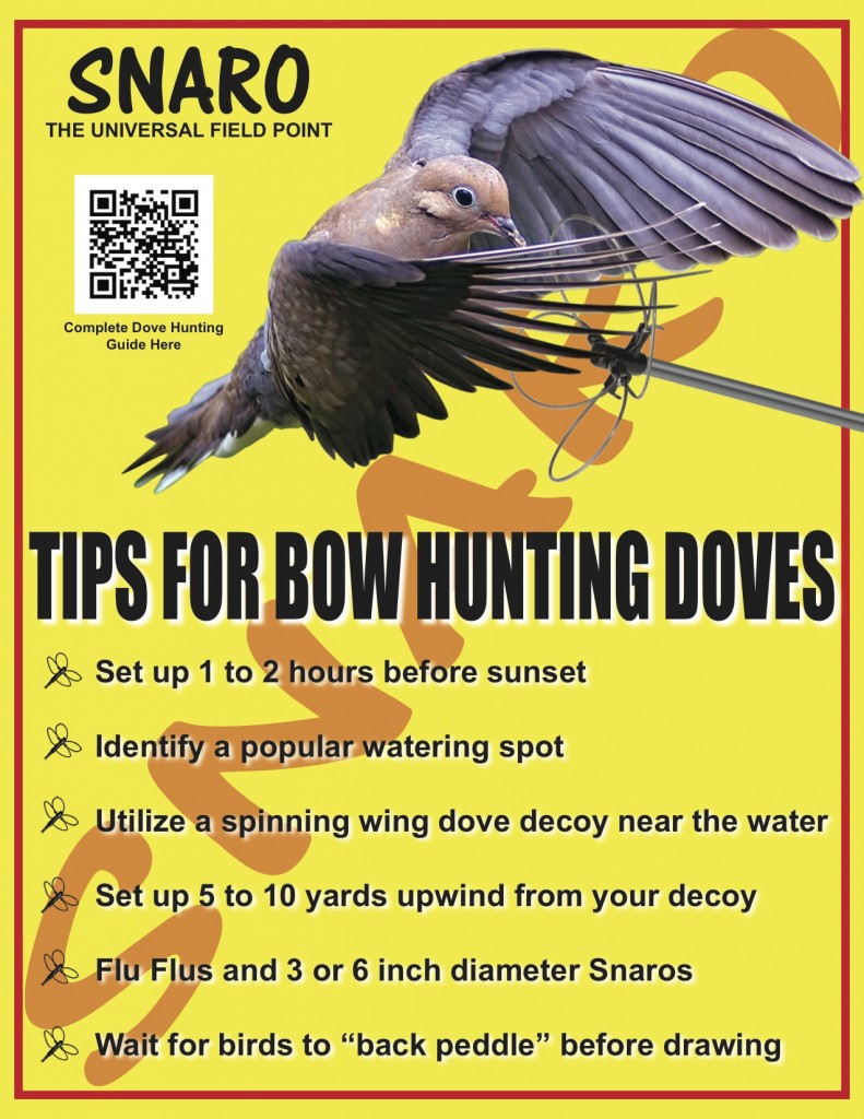 bowhunting doves